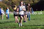 Senior men, 2024 Northern Cross Country Relays, Graves Park, Sheffield.   Photo: David T. Hewitson/Sports for All Pics